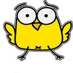 Tonos para alarma | Alarma pajaros